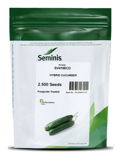 بذر خیار هیبربد 4196 سمینیس | Cucumber CV4196CD Seminis