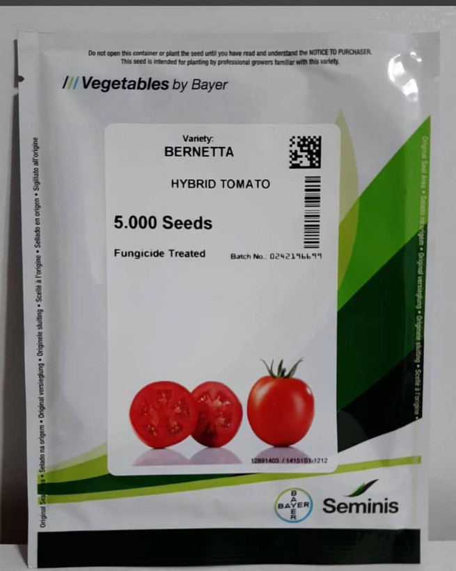 بذر گوجه برنتا سمینیس 5000 عددی سفارش تایلند | Seminis BERNETA F1 Tomato5000seeds