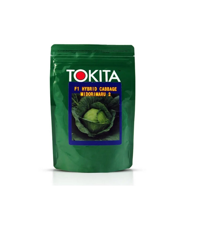 بذر کلم پیچ سفید میدوریمارو توکیتا ژاپن | MIDORMARU Cabbage