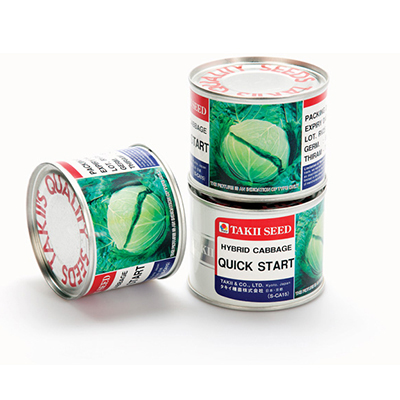 بذر کلم پیچ سبز هیبرید کوئیک استارت تاکی | QUICK START Cabbage
