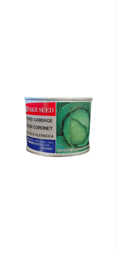 بذر کلم پیچ هیبرید گرین کورنت تاکی | green cornet cabbage F1