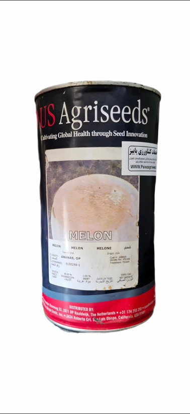 بذر ملون آناناسی یو اس اگرسید | US Agriseeds