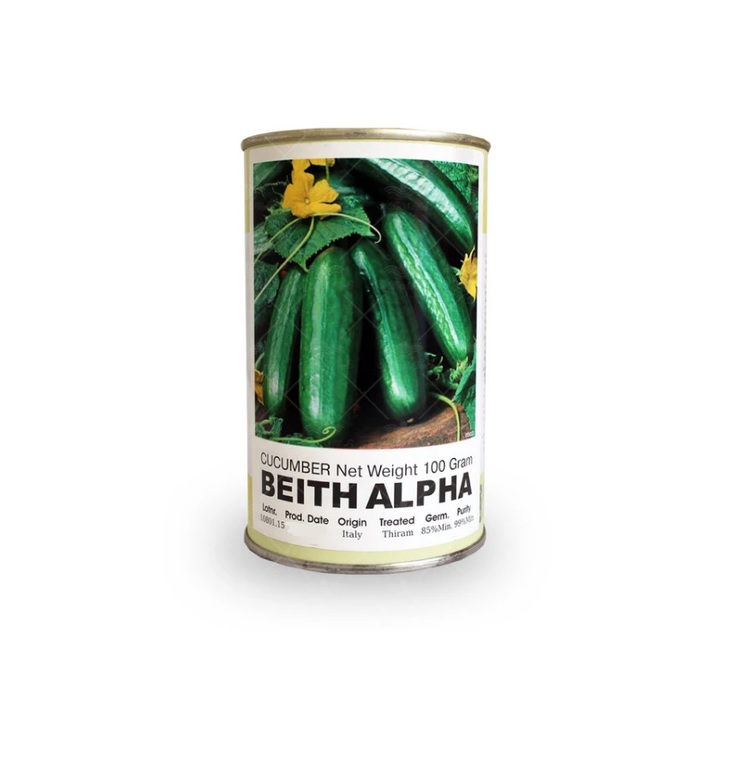 بذر خیار استاندارد بتا آلفا روزن سیدز | BETH ALPHA