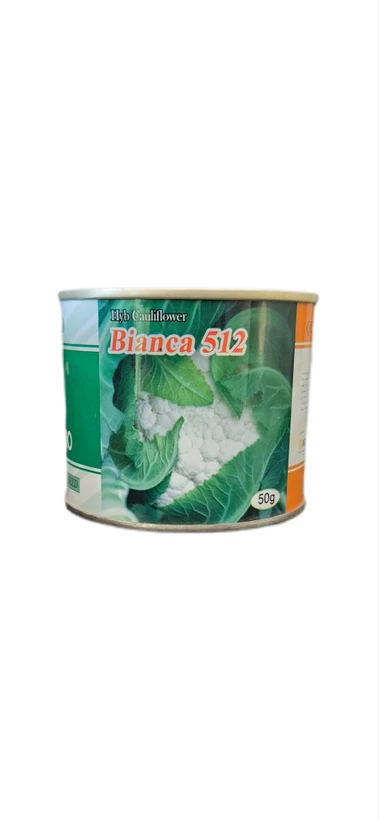 بذر گل کلم هیبرید F1 بیانکا512 | Bianca512 Cabbage