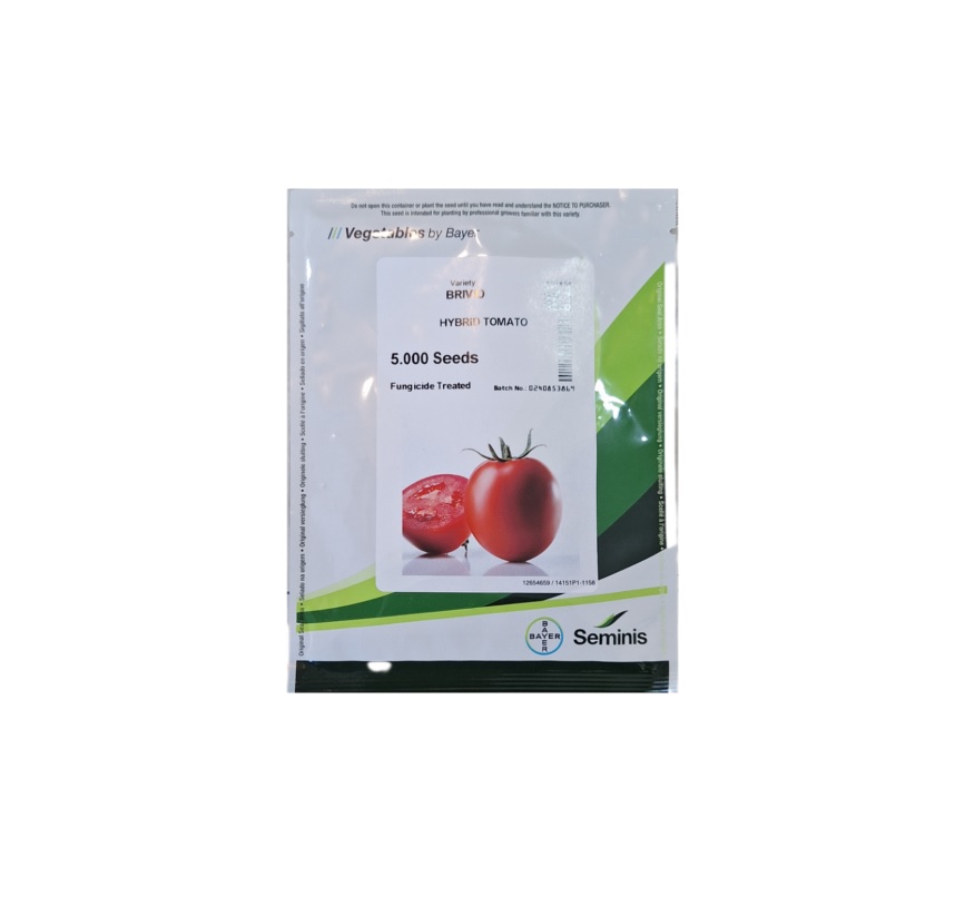 بذر گوجه سمینیس بریویو 5000 عددی | Seminis BRIVIO F1 Tomato 5000seeds